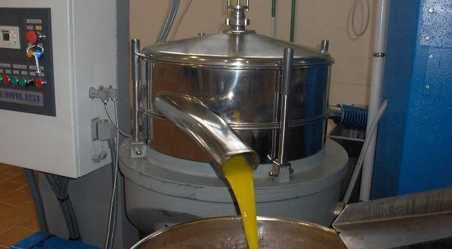 Elaboración del aceite de oliva